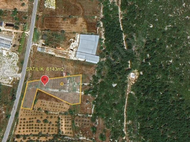 Germiyan Mahallesi, Çeşme içerisinde satılık Arsa