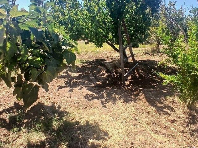 Torbali, İzmir içerisinde satılık Arsa