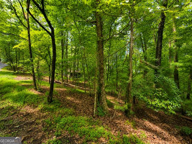 Land for sale in Gilmer, Georgia