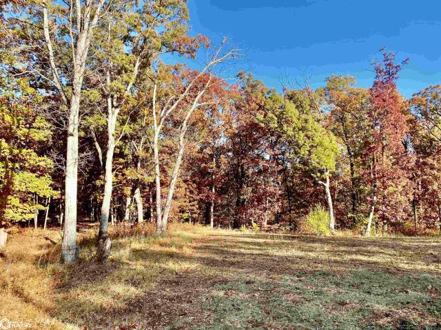 Farm for sale in Unionville, Iowa