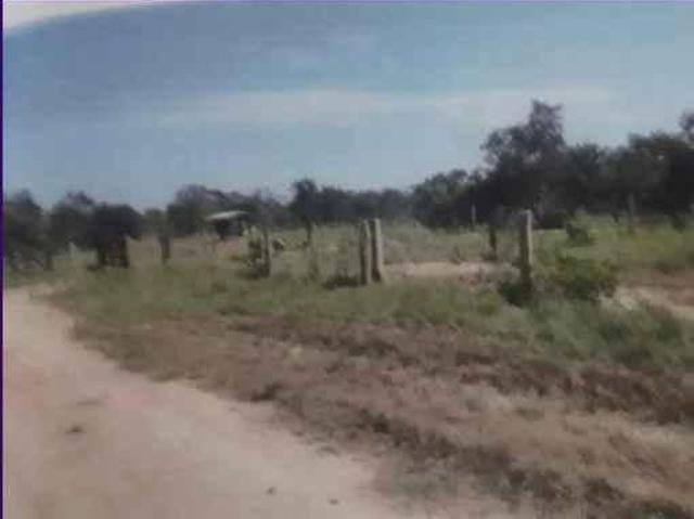 Sítio e chácara venda em Região Geográfica Imediata de Água Boa, Cocalinho