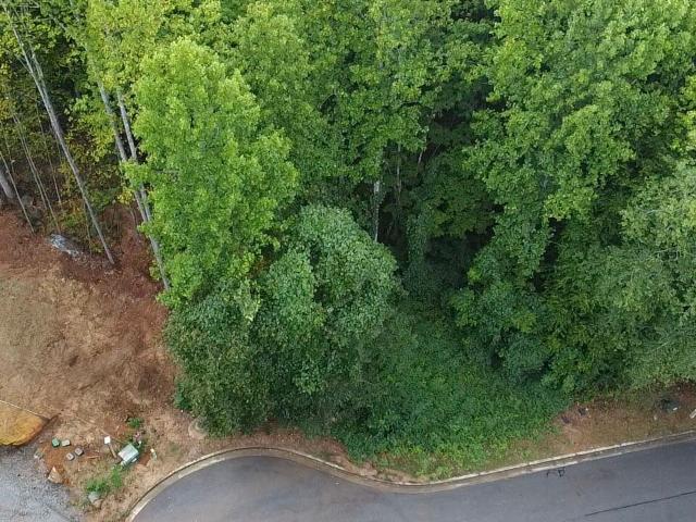 Land for sale in Clayton, Georgia