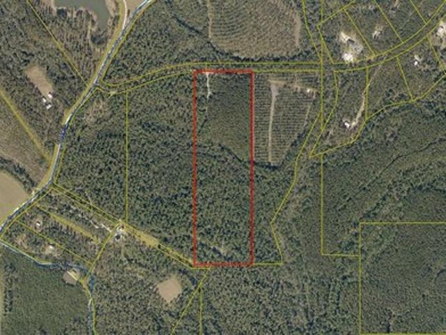 Land for sale in Laurel Hill, Florida