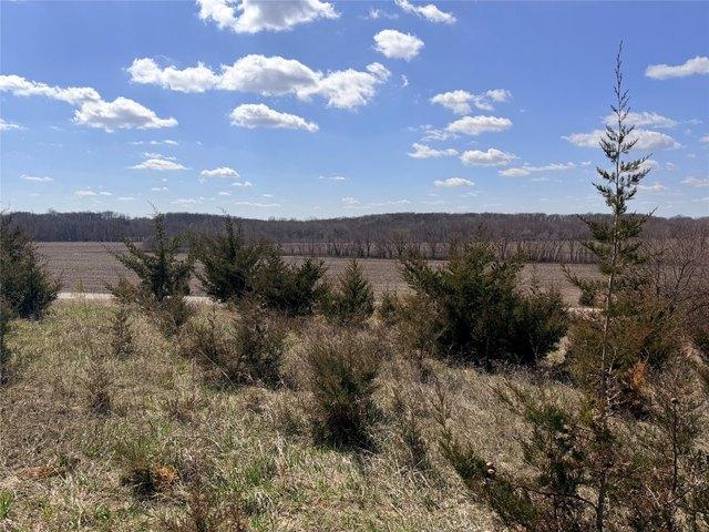 Land for sale in Perry, Dallas County