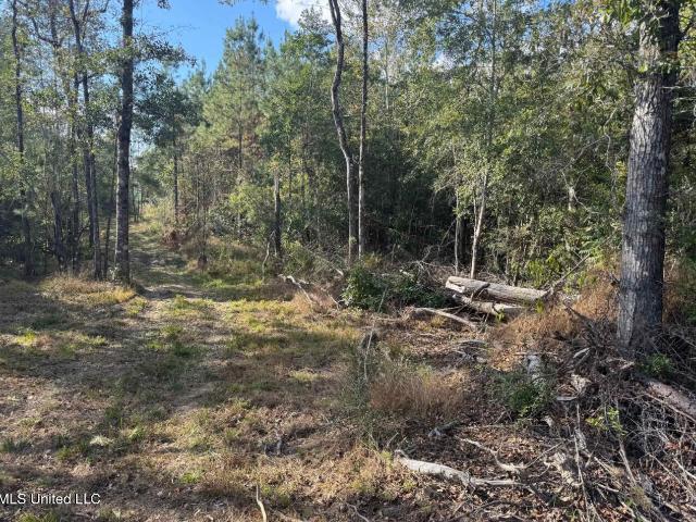 Land for sale in Wiggins, Mississippi