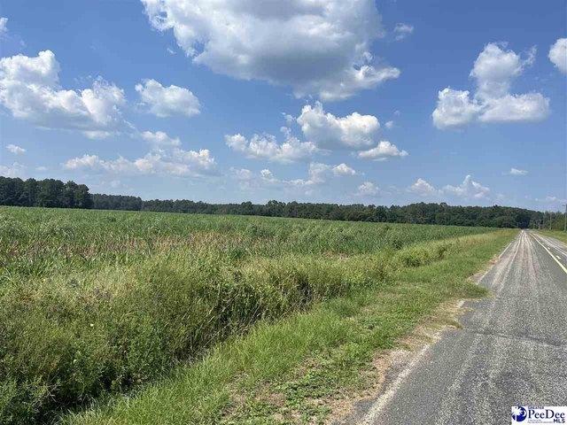 Land for sale in Bennettsville, South Carolina