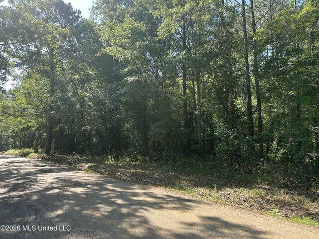 Land for sale in Pelahatchie, Mississippi