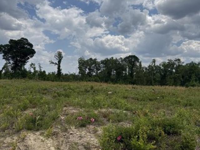Land for sale in Cadwell, Georgia