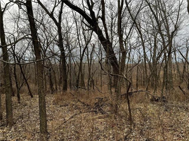 Farm for sale in Gentry, Missouri
