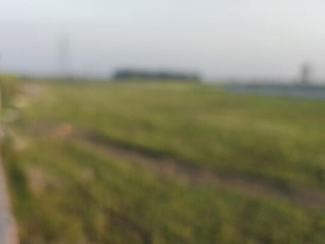 Land for sale in Jharli, Arunachal Pradesh
