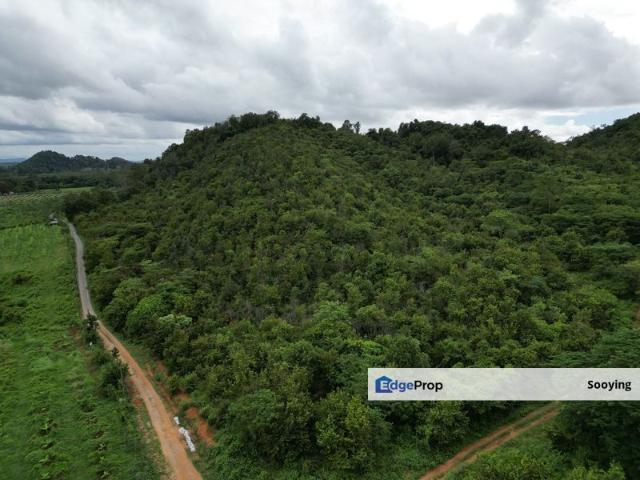 Shop for sale in Pokok Sena, Kedah