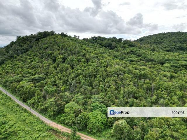 Shop for sale in Pokok Sena, Kedah