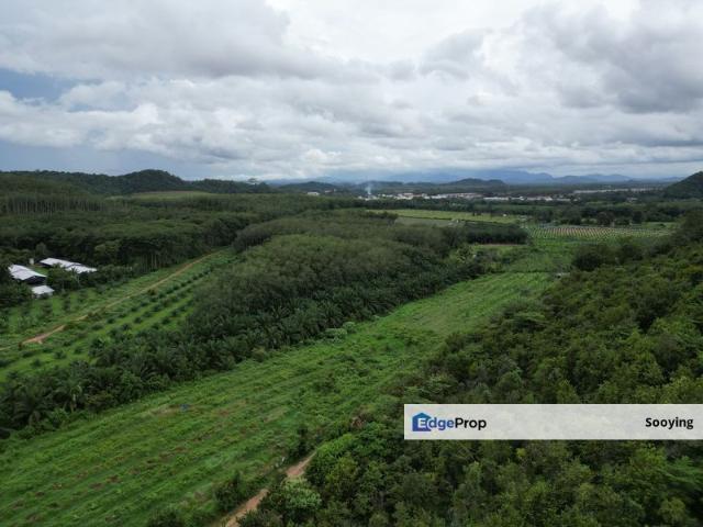 Shop for sale in Pokok Sena, Kedah