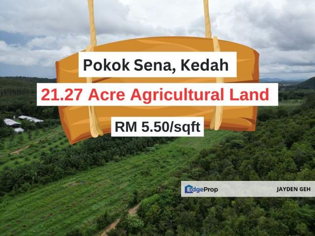 Shop for sale in Pokok Sena, Kedah