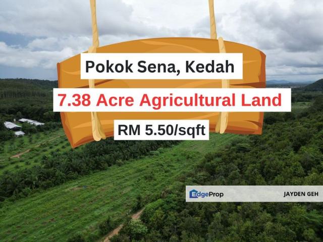 Shop for sale in Pokok Sena, Kedah