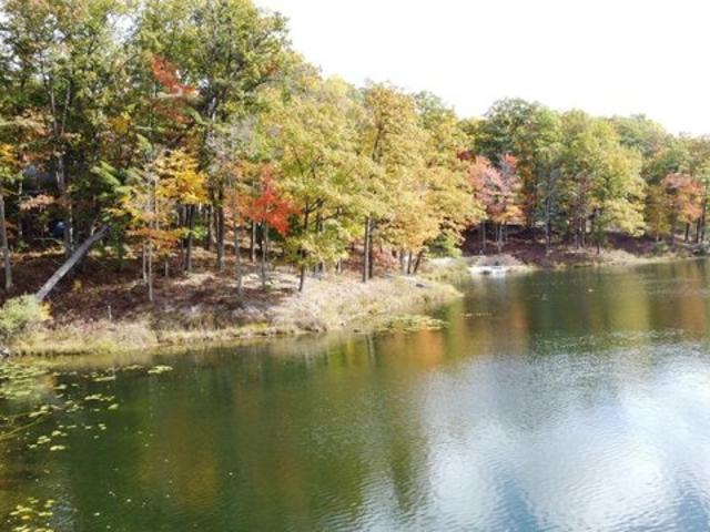 Land for sale in West Branch