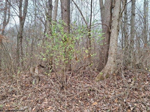 Land for sale in Bridgeport, West Virginia