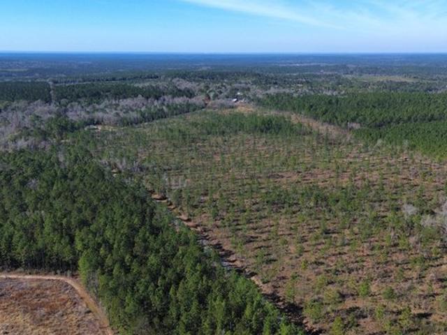 Land for sale in Perdido, Alabama