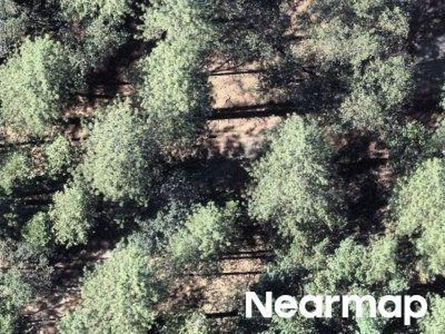House for sale in Nevada City