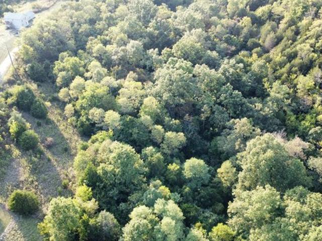House for sale in Owenton, Kentucky
