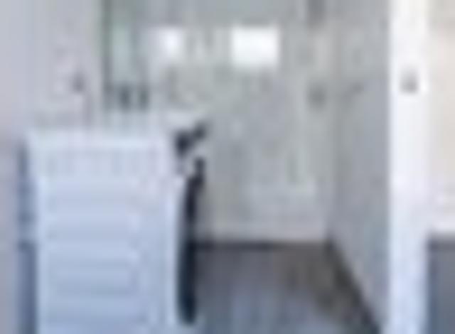 Apartment for rent in Otakou