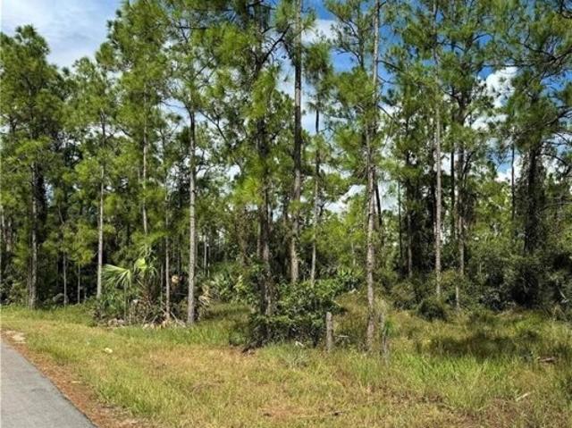 Land for sale in Alva, Lehigh Acres Land for sale in Alva, Lehigh Acres