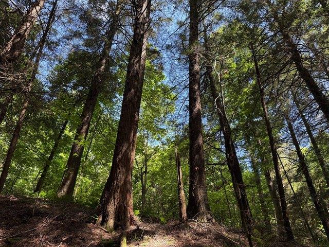 Land for sale in Mercer, Pennsylvania