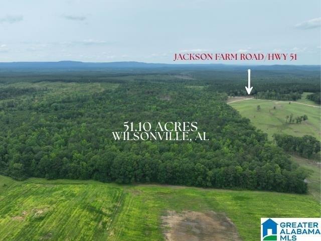 Land for sale in Wilsonville, Alabama
