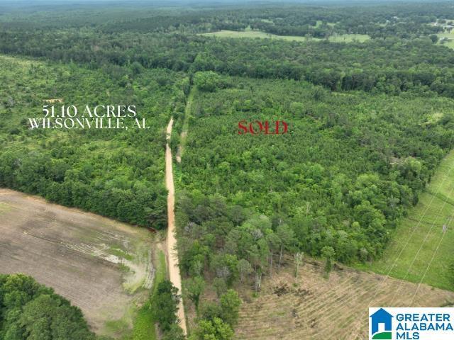 Land for sale in Wilsonville, Alabama