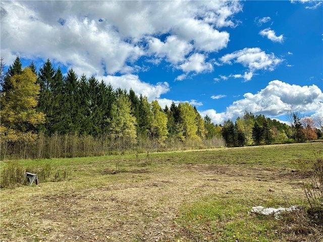 Farm for sale in Town of Franklin, Town of Meredith