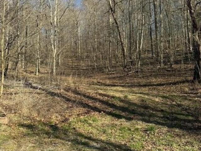 Land for sale in Tennessee