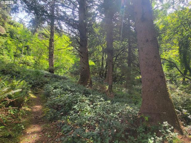 Land for sale in Oregonia