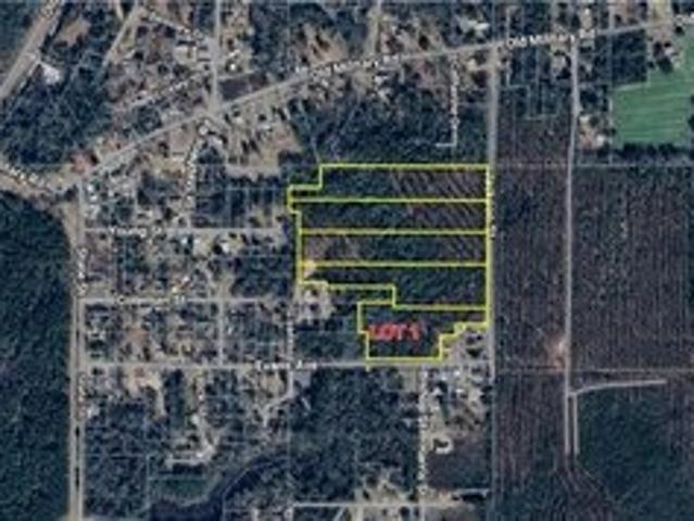 Land for sale in Mount Vernon, Alabama