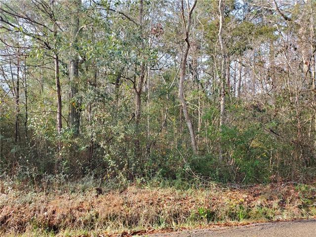 Land for sale in Lacombe, Louisiana