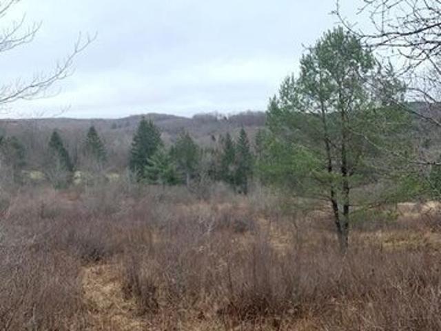 Land for sale in Little Meadows, Pennsylvania