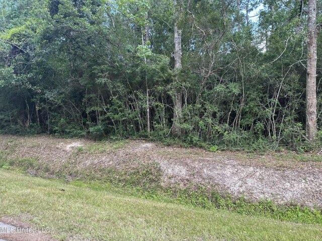 Land for sale in Pearlington