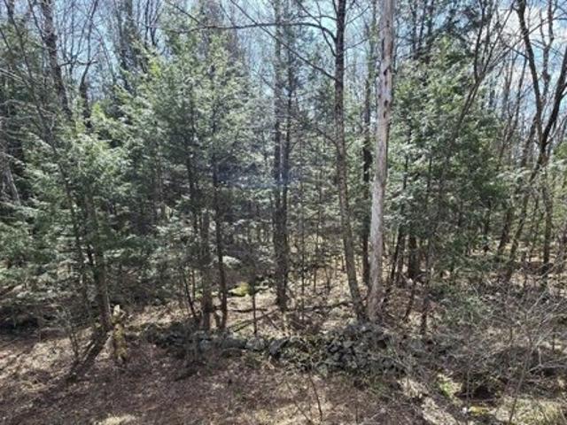 Land for sale in Berkshire, Massachusetts