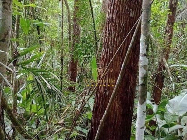 Sítio e chácara venda em Região Imediata de Registro, Jacupiranga