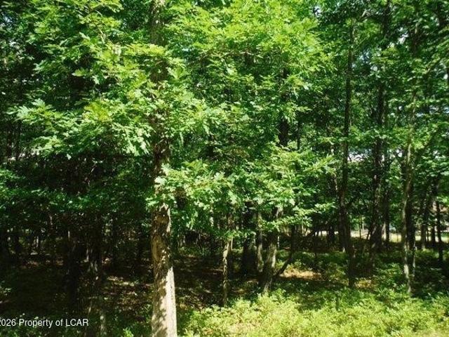 Land for sale in Harleigh, Pennsylvania