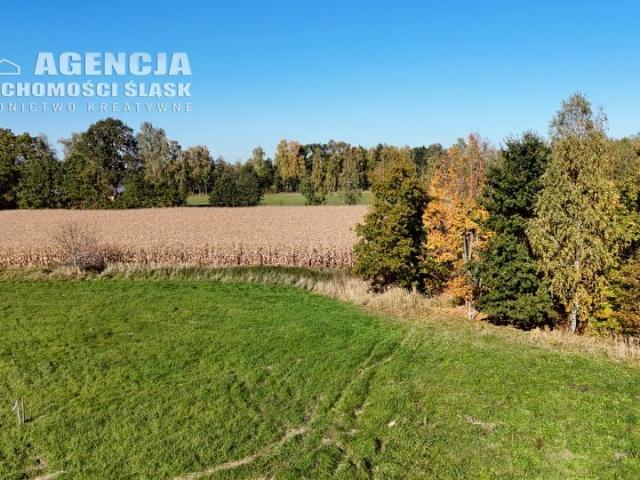 Grunt na sprzedaż w Dankowice, Śląskie