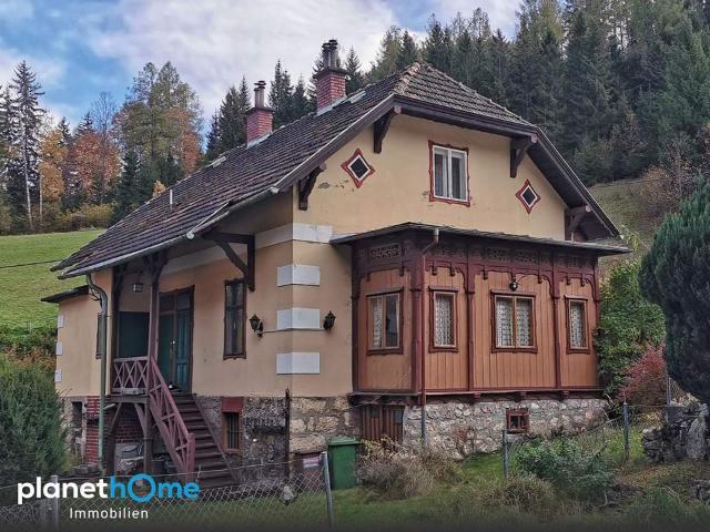 Haus kaufen in Neunkirchen, Niederösterreich