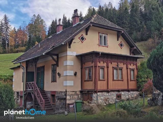 Haus kaufen in Breitenstein, Niederösterreich
