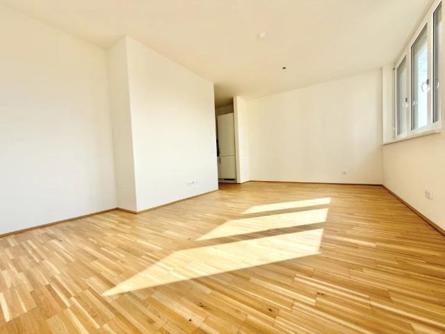 Apartment mieten in Innere Stadt, Gersdorf-Feistritz