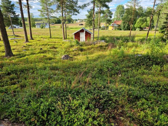 Tomt till salu i Norrbotten
