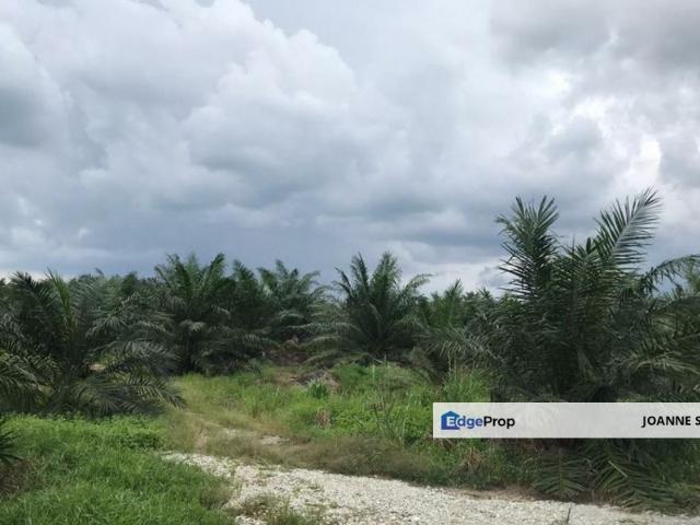 Warehouse for sale in Banting, Selangor