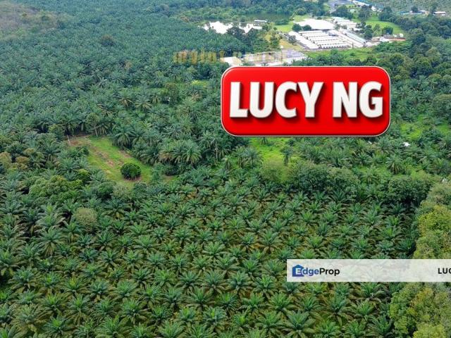 Shop for sale in Kulim, Kedah