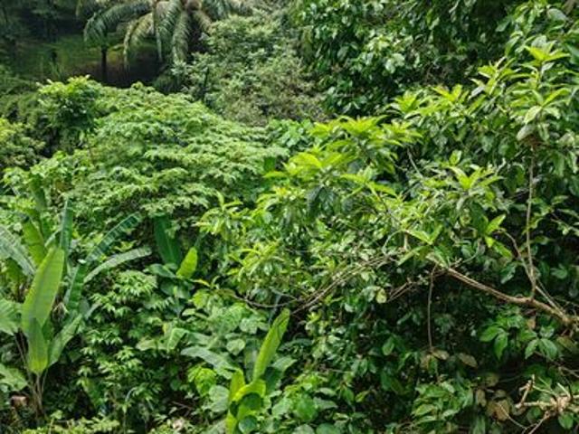 House for sale in Country Heights Damansara, Kuala Lumpur