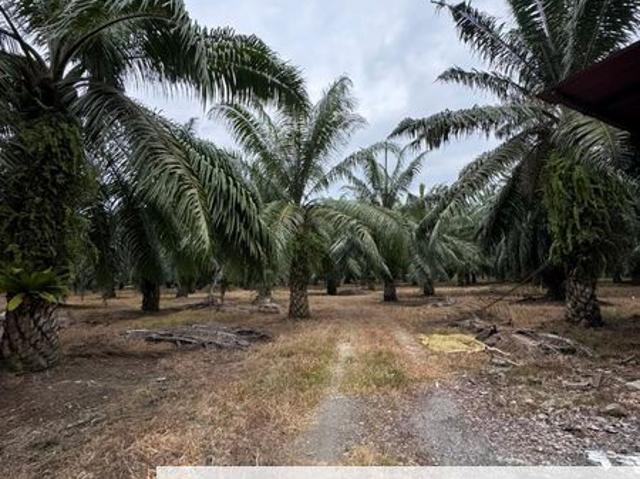 Warehouse for sale in Wellesley, Penang