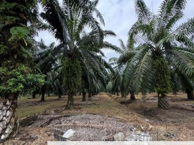 Warehouse for sale in Wellesley, Penang