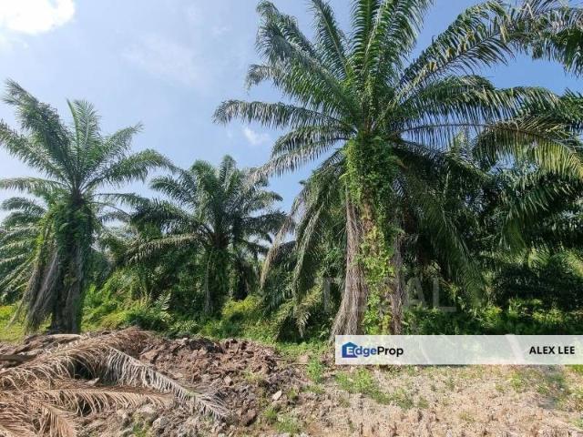 House for sale in Country Heights Damansara, Kuala Lumpur